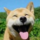 勇敢的心在掘金83465的个人资料头像