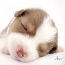 jasonyangliu的个人资料头像