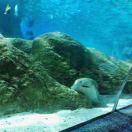 yino83520的个人资料头像