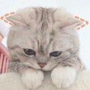 Flamingo同志的个人资料头像