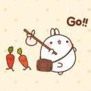 牟童的个人资料头像