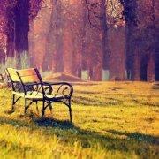 Angelababy杨的个人资料头像