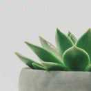 谢钢的个人资料头像