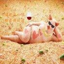 猪配骑的个人资料头像