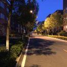 vincent同学83598的个人资料头像