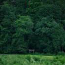 Kasoi的个人资料头像