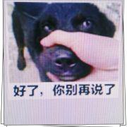 tastesong的个人资料头像