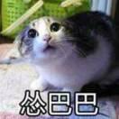 despair83641的个人资料头像