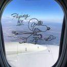 songfxiang的个人资料头像