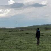 CandidXD的个人资料头像