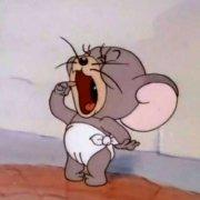 Ruhaiiii的个人资料头像