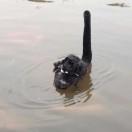 Peter同志83861的个人资料头像