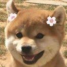 黑猫警长重名了的个人资料头像