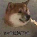 鱼鱼鱼同学的个人资料头像