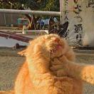 涉水猴子的个人资料头像