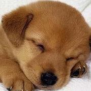 S傻蛋S的个人资料头像