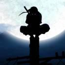 Miter84004的个人资料头像