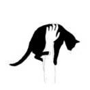 3年2班周杰伦的个人资料头像