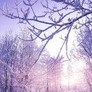 孤独月辰的个人资料头像