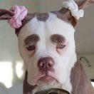 同志84113的个人资料头像