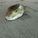 杨家琪的个人资料头像