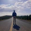 斯人若彩虹的个人资料头像