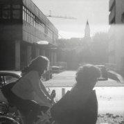 春天发春的蒲公英的个人资料头像