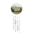 流浪在外的一小只的个人资料头像