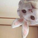 冰淇凌的个人资料头像