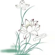 maolisa的个人资料头像