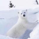 王叔的个人资料头像