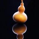 尹伟的个人资料头像