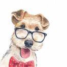 柒在掘金84328的个人资料头像