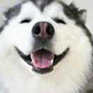 兔子大魔王的个人资料头像