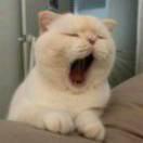 stars重名了的个人资料头像