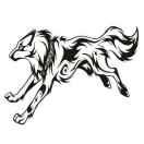 Tanl的个人资料头像