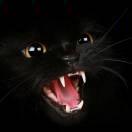 昂不想说话84472的个人资料头像