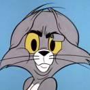 一只tom的个人资料头像