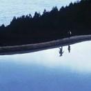 Alvin本尊84491的个人资料头像