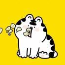 若是凉夜已成梦的个人资料头像