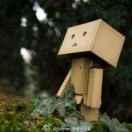 鲤鱼旗就是我的个人资料头像