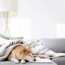 slr的个人资料头像