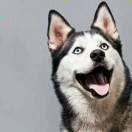 清风同学84614的个人资料头像