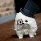 赫家旺的个人资料头像