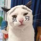 贫僧不吃素的个人资料头像