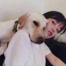 A做你的猫Strive的个人资料头像