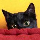 15347432276的个人资料头像