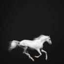 燕十六的个人资料头像