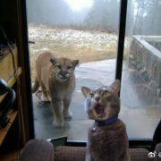 揉碎理想写进梦的个人资料头像