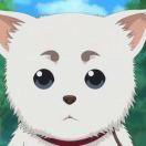 笑语不想说话的个人资料头像